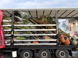 Truck poorly loaded at the border supplied by Italian plant importer, Stefano Sogni